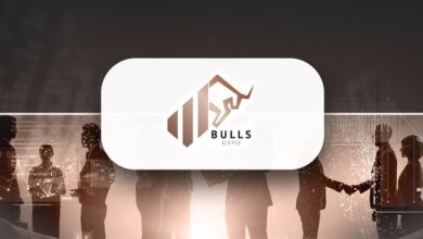 Bulls GSYO Halka Arzı Büyük İlgi Gördü!